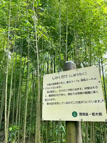 西明寺(栃木県)