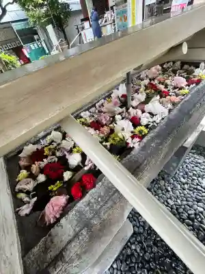 鳩森八幡神社の手水舎