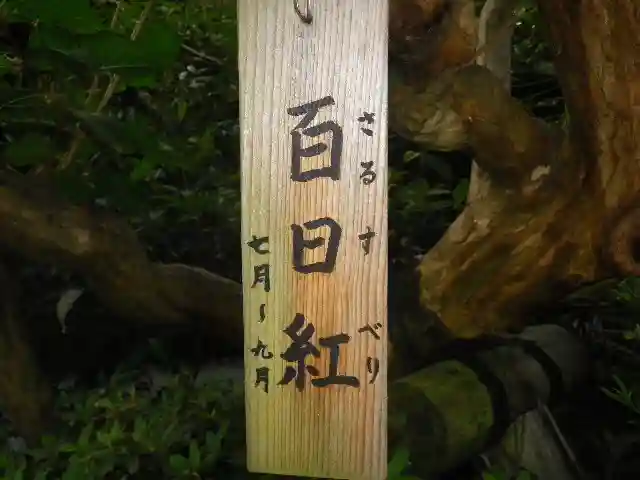 長谷寺のその他建物