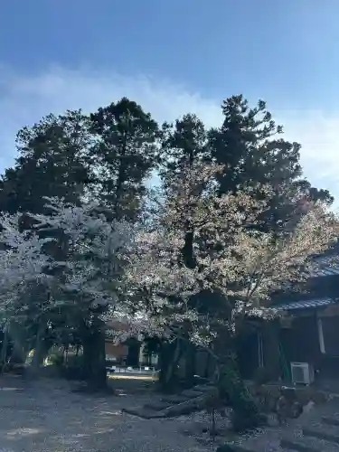 手力雄神社の{uncategorized: "未分類", other: "その他", undefined: "問題あり", building: "その他建物", grave: "お墓", sacred_gate: "鳥居", guardian: "狛犬", statue: "像", buddha: "仏像", history: "歴史", nature: "自然", garden: "庭園", animal: "動物", pagoda: "塔", temizu: "手水舎", mountain_gate: "山門・神門", sanctuary: "本殿・本堂", subordinate: "末社・摂社", art: "芸術", scenery: "景色", jizo: "地蔵", ema: "絵馬", goshuin: "御朱印", omikuji: "おみくじ", items: "授与品その他", amulet: "お守り", goshuincho: "御朱印帳", eats: "食事", festival: "お祭り", votive_dance: "神楽", shichigosan: "七五三参", wedding: "結婚式", experience: "体験その他", initially: "初詣", around: "周辺", anti_infection: "感染症対策"}