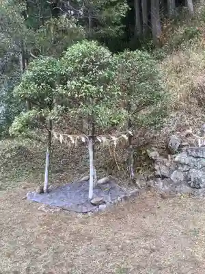 白山神社の自然