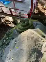 來宮神社(静岡県)