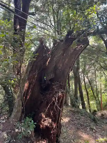 西明寺(栃木県)