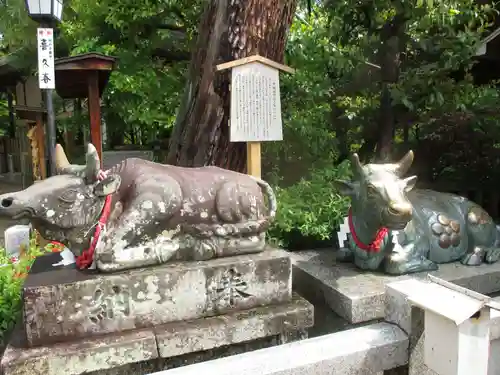 長岡天満宮の狛犬