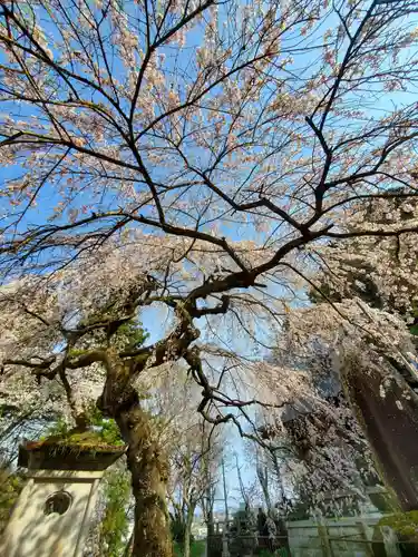 大隣寺(福島県)