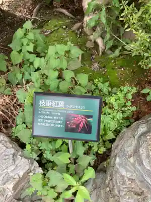 総持院(神奈川県)