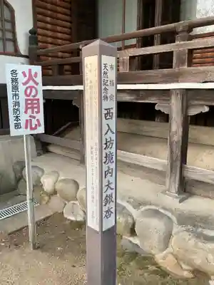 河野西入坊のその他建物