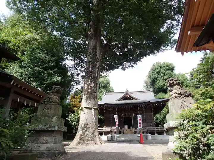 青渭神社の自然