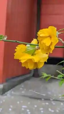 六孫王神社(京都府)