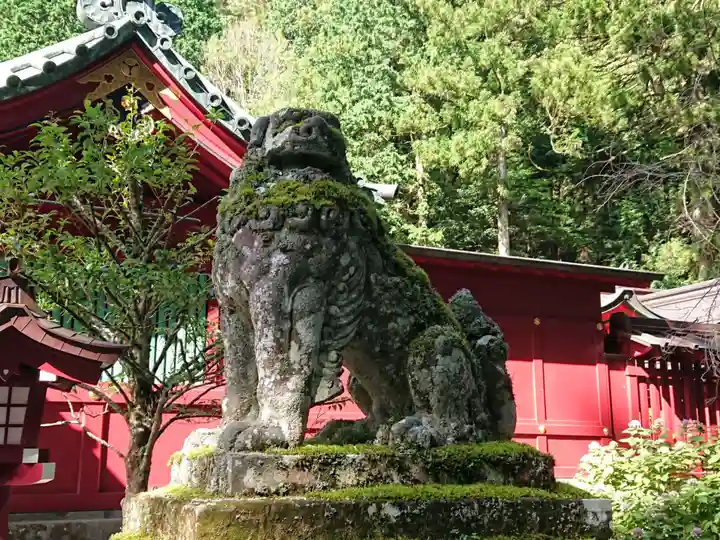箱根神社の狛犬