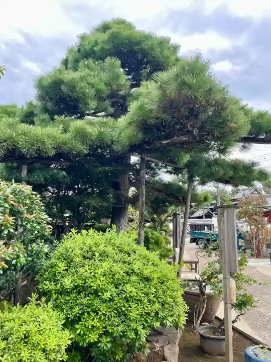 蓮華寺(東京都)