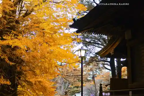 鶴嶺八幡宮(神奈川県)