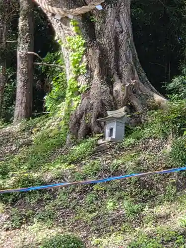 温泉神社〜いわき湯本温泉〜(福島県)