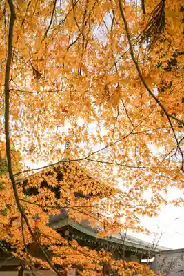 楽水亭　大龍寺の自然