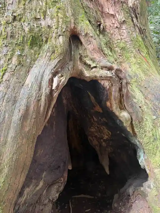箱根神社の{uncategorized: "未分類", other: "その他", undefined: "問題あり", building: "その他建物", grave: "お墓", sacred_gate: "鳥居", guardian: "狛犬", statue: "像", buddha: "仏像", history: "歴史", nature: "自然", garden: "庭園", animal: "動物", pagoda: "塔", temizu: "手水舎", mountain_gate: "山門・神門", sanctuary: "本殿・本堂", subordinate: "末社・摂社", art: "芸術", scenery: "景色", jizo: "地蔵", ema: "絵馬", goshuin: "御朱印", omikuji: "おみくじ", items: "授与品その他", amulet: "お守り", goshuincho: "御朱印帳", eats: "食事", festival: "お祭り", votive_dance: "神楽", shichigosan: "七五三参", wedding: "結婚式", experience: "体験その他", initially: "初詣", around: "周辺", anti_infection: "感染症対策"}