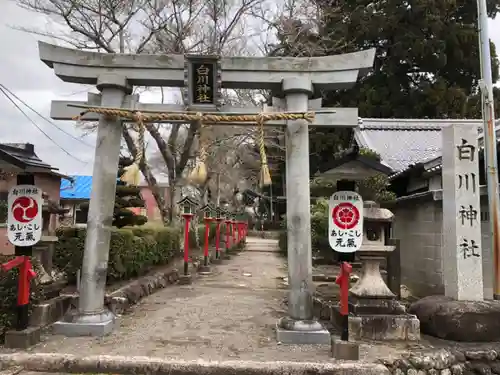 白川神社の鳥居