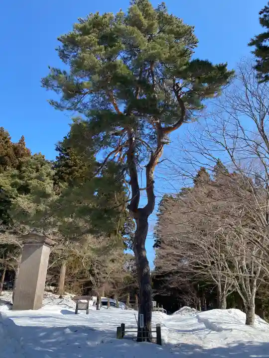 土津神社|こどもと出世の神さまの自然