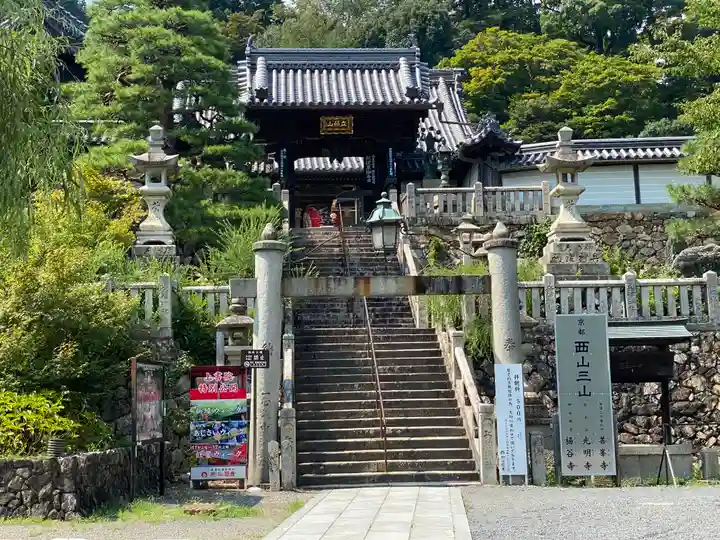 柳谷観音 楊谷寺(京都府)