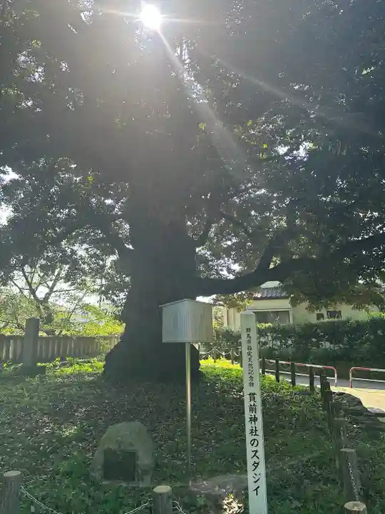 一之宮貫前神社(群馬県)