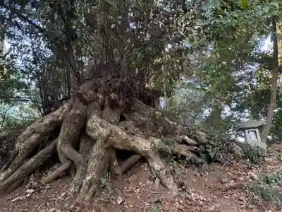 木内大神(千葉県)