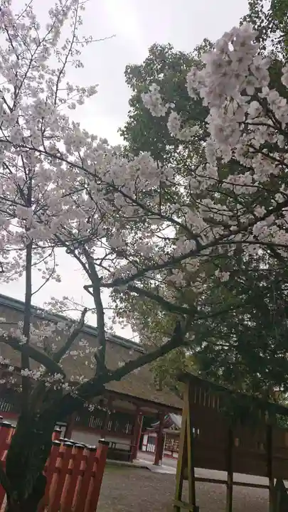 津島神社の自然