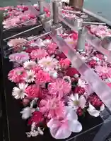 成田山深川不動堂(新勝寺東京別院)(東京都)