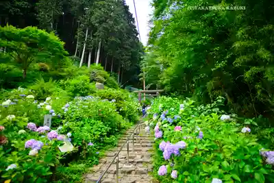 太平山神社(栃木県)