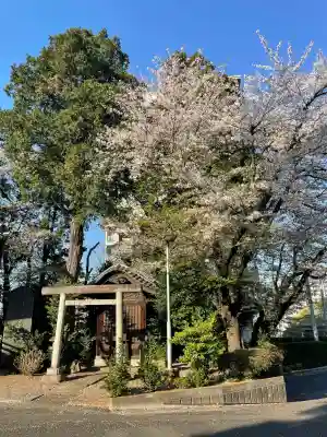 狭山八幡神社の{uncategorized: "未分類", other: "その他", undefined: "問題あり", building: "その他建物", grave: "お墓", sacred_gate: "鳥居", guardian: "狛犬", statue: "像", buddha: "仏像", history: "歴史", nature: "自然", garden: "庭園", animal: "動物", pagoda: "塔", temizu: "手水舎", mountain_gate: "山門・神門", sanctuary: "本殿・本堂", subordinate: "末社・摂社", art: "芸術", scenery: "景色", jizo: "地蔵", ema: "絵馬", goshuin: "御朱印", omikuji: "おみくじ", items: "授与品その他", amulet: "お守り", goshuincho: "御朱印帳", eats: "食事", festival: "お祭り", votive_dance: "神楽", shichigosan: "七五三参", wedding: "結婚式", experience: "体験その他", initially: "初詣", around: "周辺", anti_infection: "感染症対策"}
