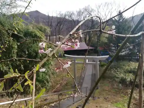 米倉神社の自然