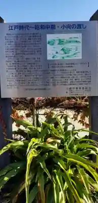 小向三輪神社(埼玉県)