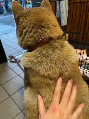 笠䅣稲荷神社(神奈川県)