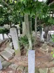 長福寺の建物その他