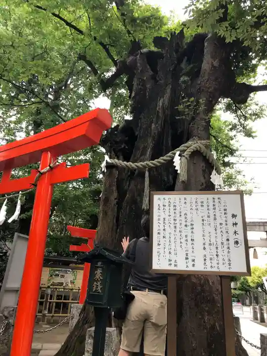 新田神社(東京都)