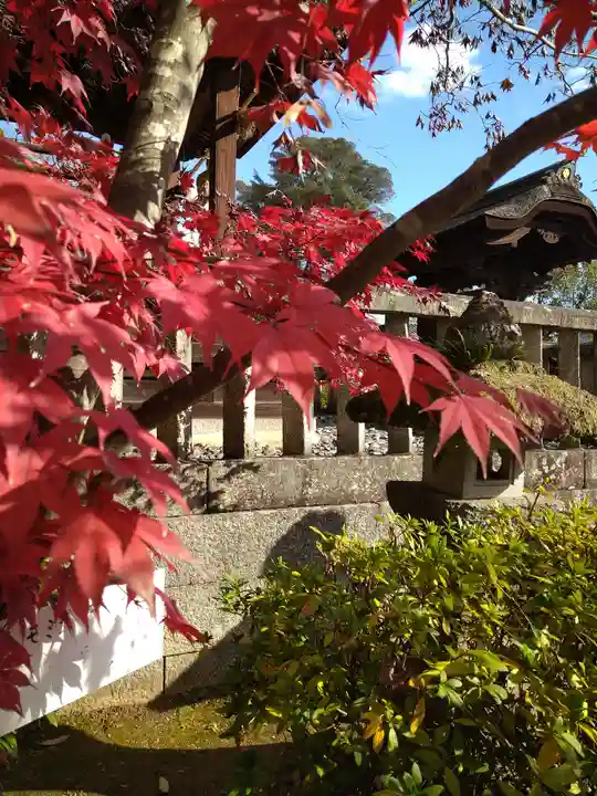 阿智神社の自然