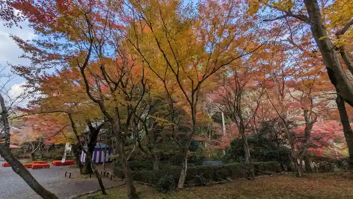 常照寺(京都府)