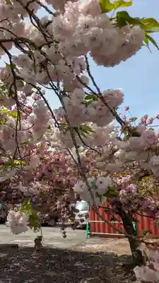 伊香具神社(滋賀県)