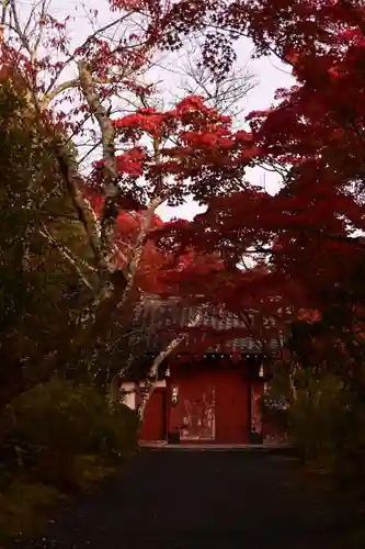 常照寺(京都府)