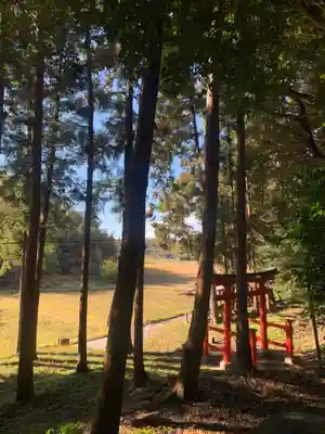 熊野神社の鳥居