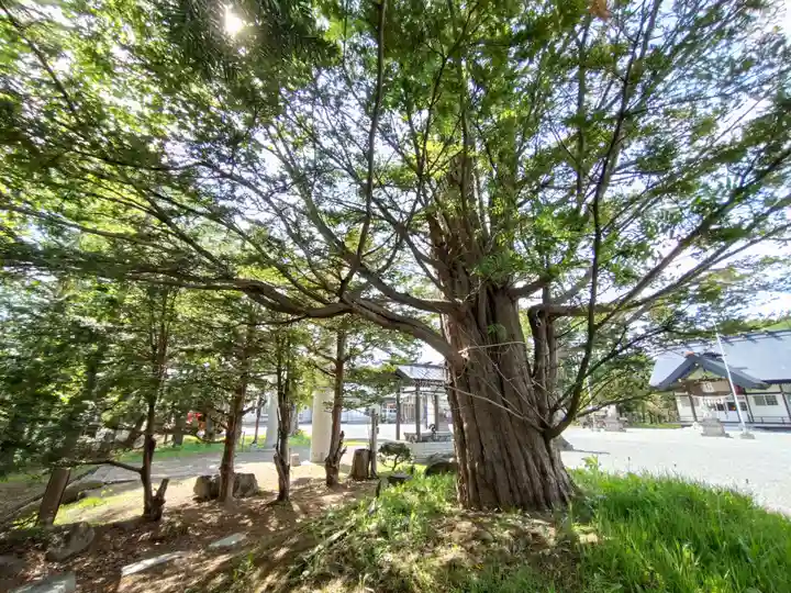 浜頓別神社(北海道)