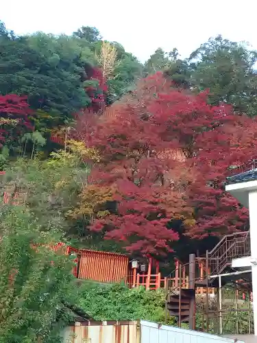 太皷谷稲成神社(島根県)