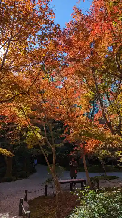 圓光寺(京都府)
