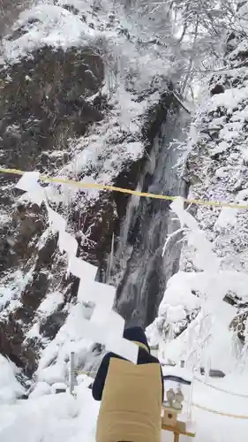 桜松神社の自然