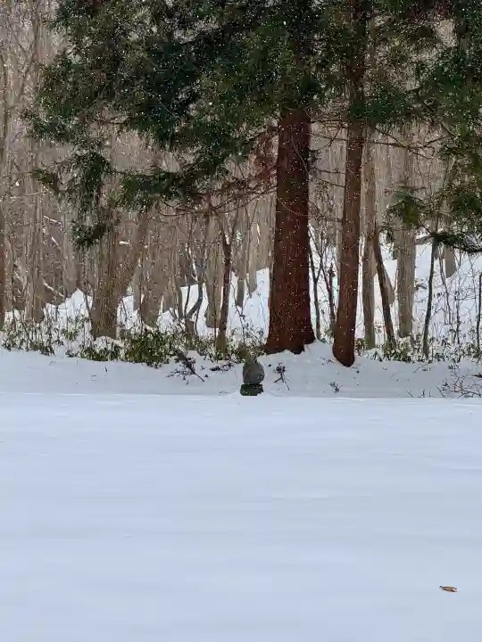 大岩稲荷神社の{uncategorized: "未分類", other: "その他", undefined: "問題あり", building: "その他建物", grave: "お墓", sacred_gate: "鳥居", guardian: "狛犬", statue: "像", buddha: "仏像", history: "歴史", nature: "自然", garden: "庭園", animal: "動物", pagoda: "塔", temizu: "手水舎", mountain_gate: "山門・神門", sanctuary: "本殿・本堂", subordinate: "末社・摂社", art: "芸術", scenery: "景色", jizo: "地蔵", ema: "絵馬", goshuin: "御朱印", omikuji: "おみくじ", items: "授与品その他", amulet: "お守り", goshuincho: "御朱印帳", eats: "食事", festival: "お祭り", votive_dance: "神楽", shichigosan: "七五三参", wedding: "結婚式", experience: "体験その他", initially: "初詣", around: "周辺", anti_infection: "感染症対策"}