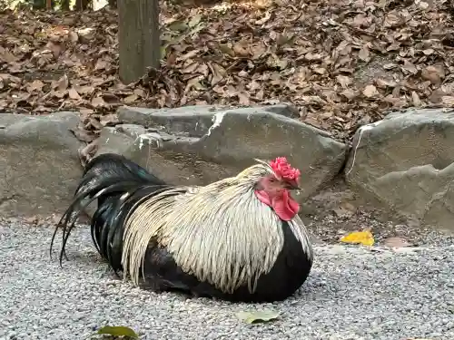 熱田神宮(愛知県)