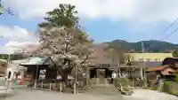 延命寺(神奈川県)