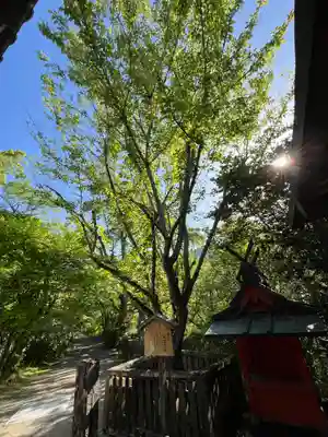 長谷寺(奈良県)