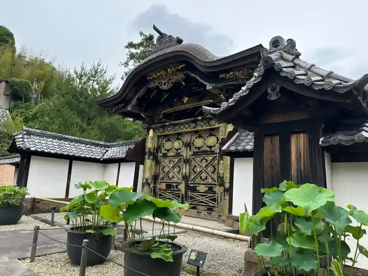 建長寺(神奈川県)