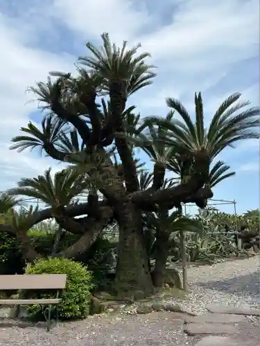 龍華寺(静岡県)