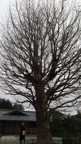 高円寺の末社・摂社