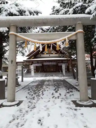 新琴似神社の鳥居